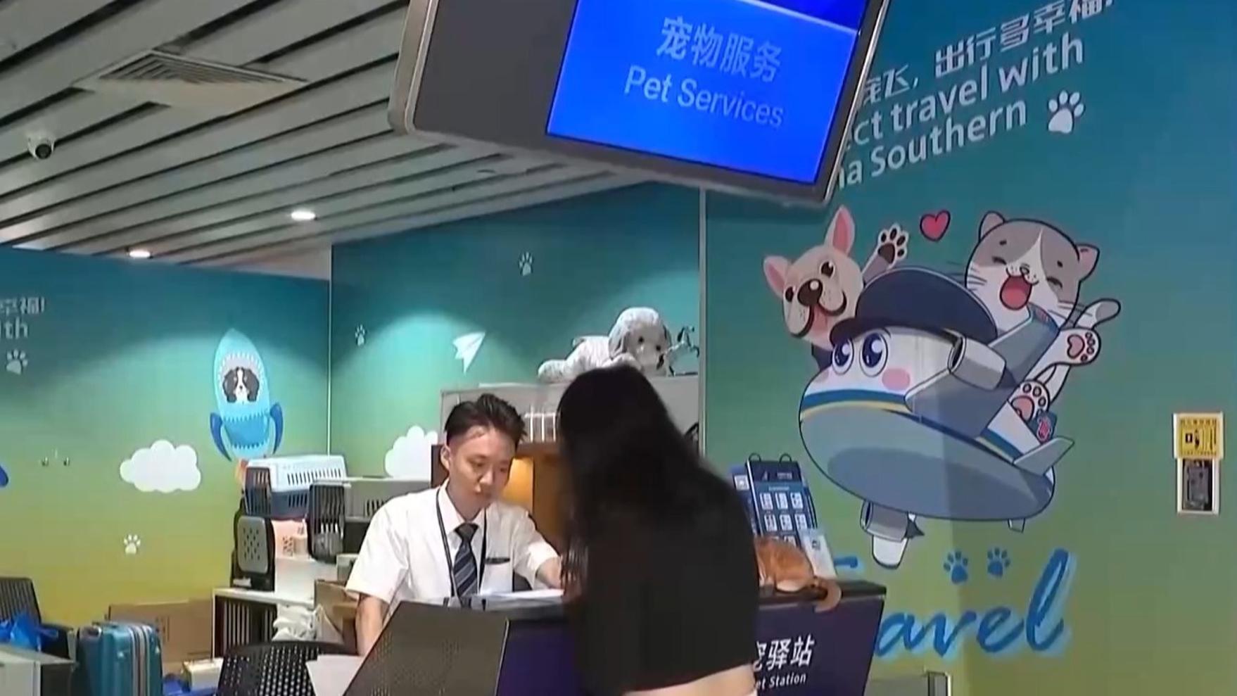 台独顽固分子沈伯洋曹兴诚被惩戒