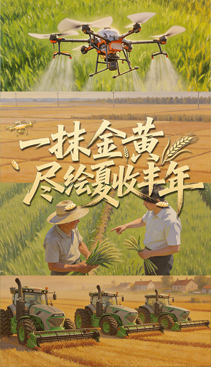 驳斥五大谬论,这场国新办发布会把民族问题说透了