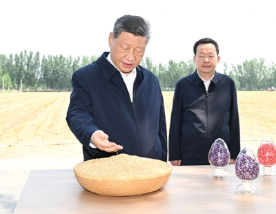 每日经济新闻