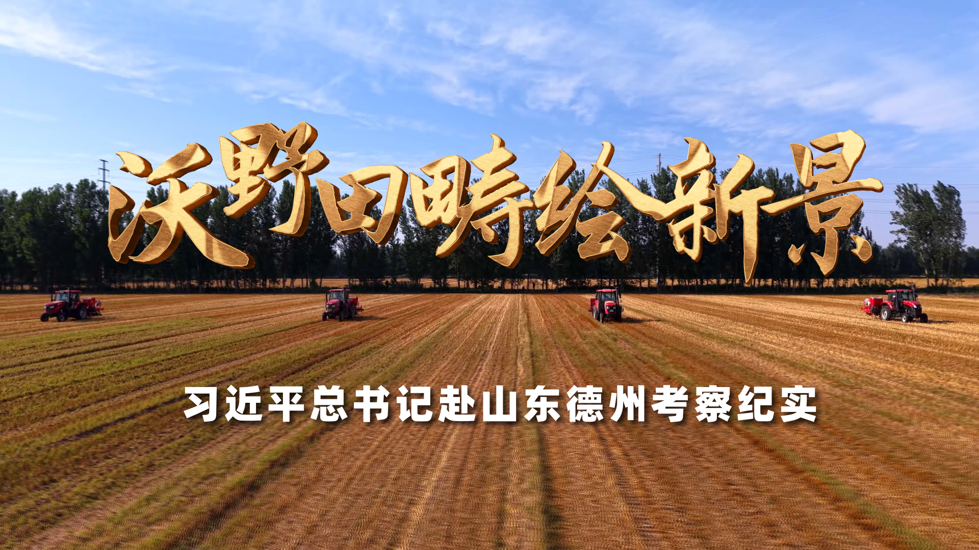 晋级八强
