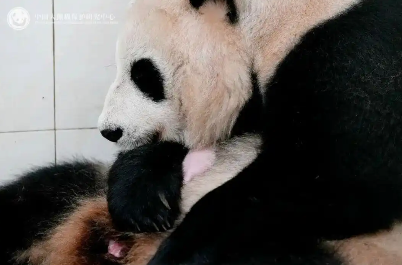 传习录丨殷殷家国情