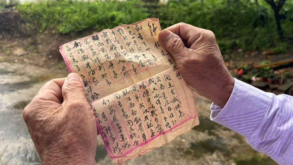 走出国产芯片技术第三条路