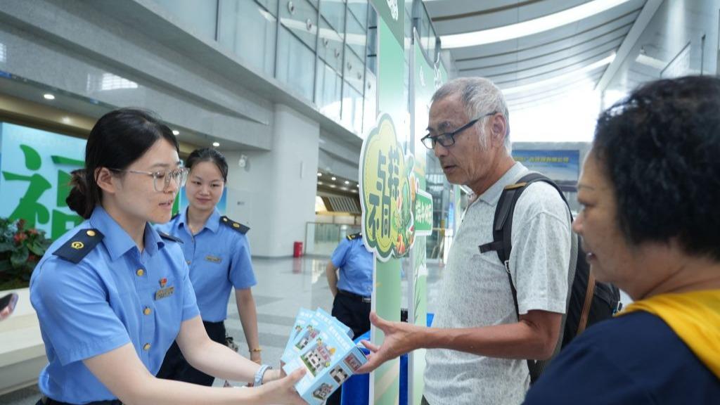高清在线播放