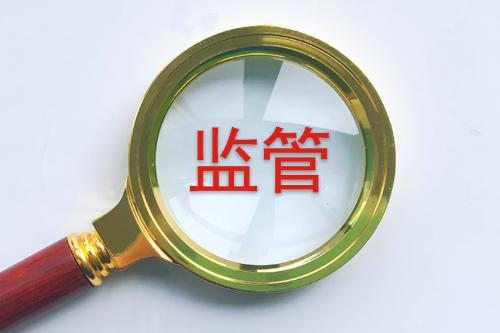 走出国产芯片技术第三条路