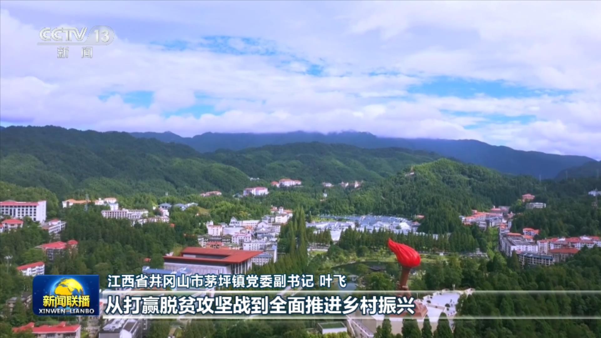 文章模仿向佐动作