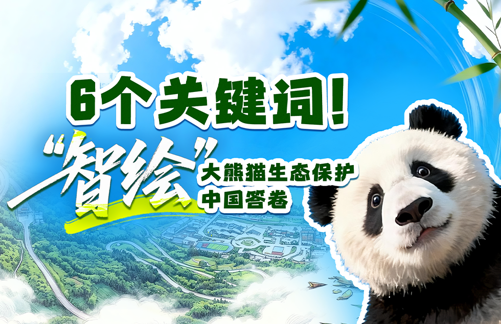 外交部:解决中欧经贸关切的钥匙在于深化中欧合作